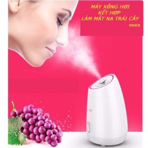 Máy xông mặt phun sương (ĐGD-29)