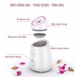 Máy xông mặt phun sương (ĐGD-29) - Ảnh 2