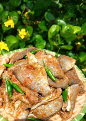 NTQ09 - Mắm Cá Phi - Ảnh 4